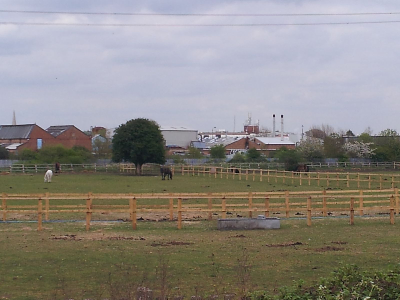 Lee Valley Riding Centre
